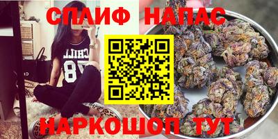 прущие грибы Ангарск
