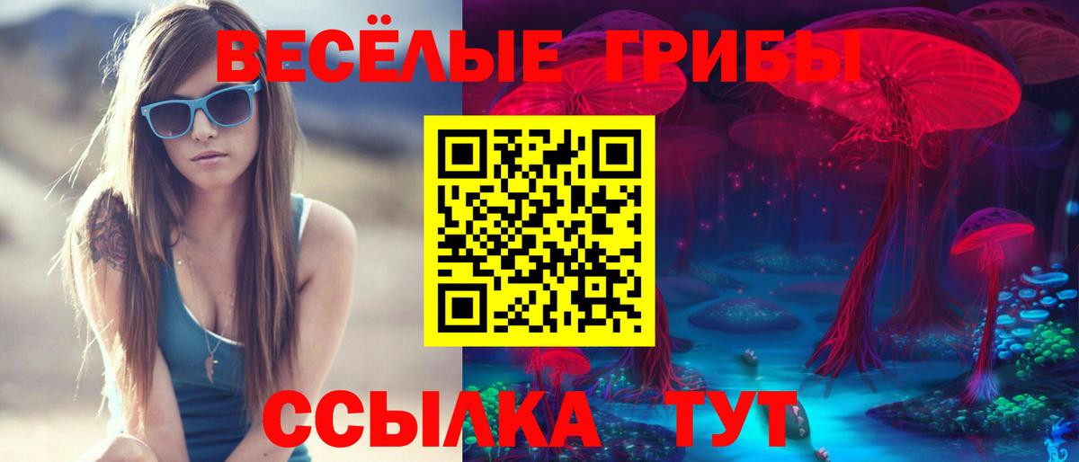 Бахчисарай  Псилоцибиновые грибы Magic Shrooms  Вход с VPN 